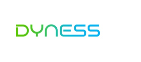 Dyness